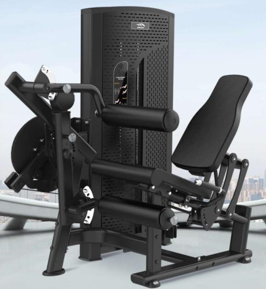 ภาพสินค้า BM10-1314 Leg Extension/ Leg Curl รายละเอียดที่ 1