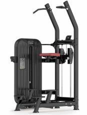 ภาพสินค้า T8S-008 Assisted Chin /Dip รายละเอียดที่ 1